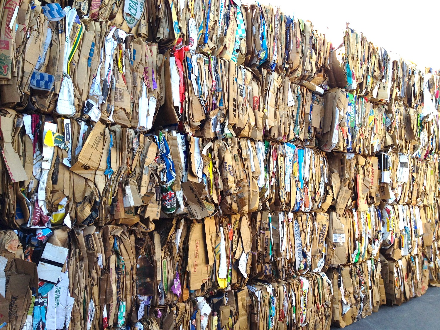 cardboard_recycling_hull