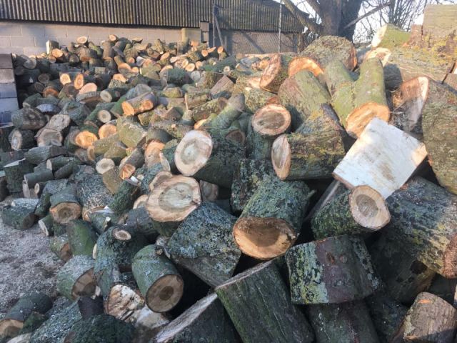 51109552_10215822392406168_8744749656006721536_n