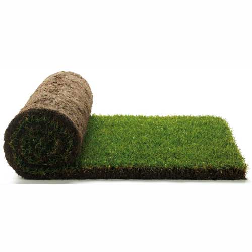 zoom_turf_roll zoom_turf_roll